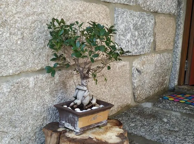 Casa Andorinhas Hébergement de vacances *